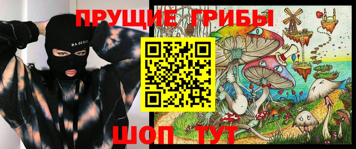 купить наркотик  Вход с VPN  Тамбов  Галлюциногенные грибы Cubensis 